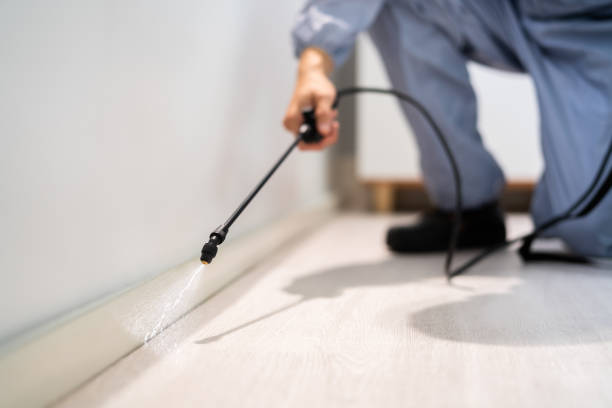 Licensed Termite Control service in Bourg, LA - Nex Pest Control