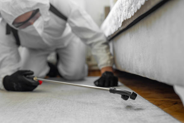 Professional Termite Control technician working in Bourg, LA