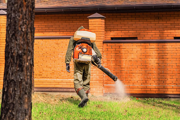 Top rated local Termite Control specialists in Bourg, LA